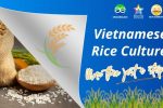 vietnamese rice culture