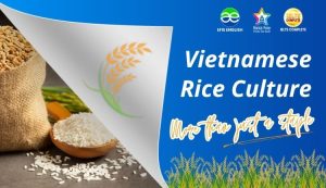 vietnamese rice culture