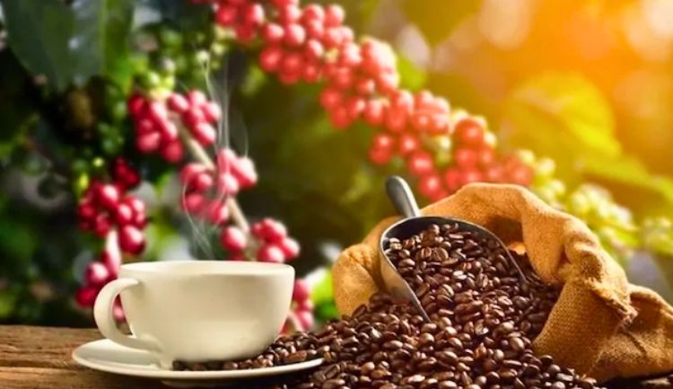 cafe vietnam