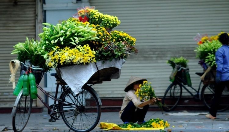 living evolution of Street Vendors in Hanoi