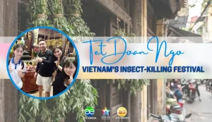 Tet Doan Ngo - Vietnam's Insect-Killing Festival