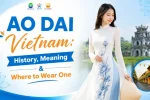 Ao Dai Vietnam History, Meaning & Where to Wear One
